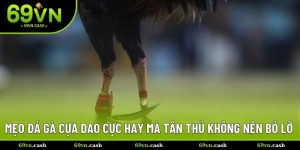 Mẹo đá gà cựa dao